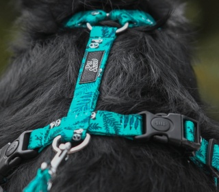 Szelki guard ,,Pandy'' szer.taśmy 1,5cm