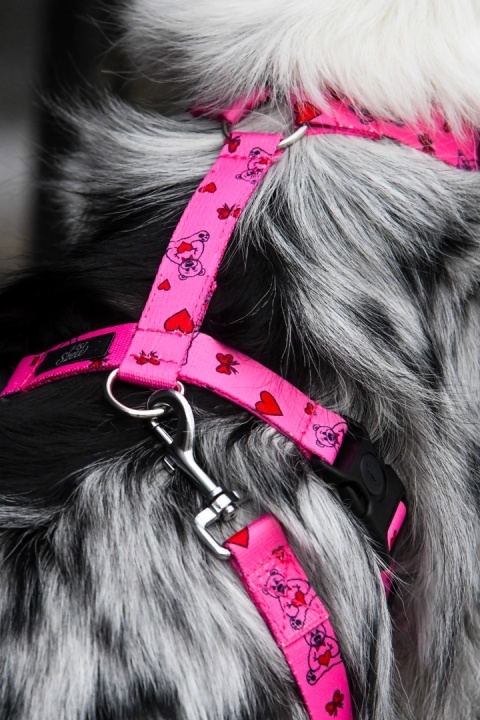 Szelki guard ,,Misiowasłodycz'' szer.taśmy 2cm